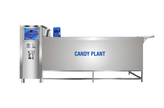 Candy Plant